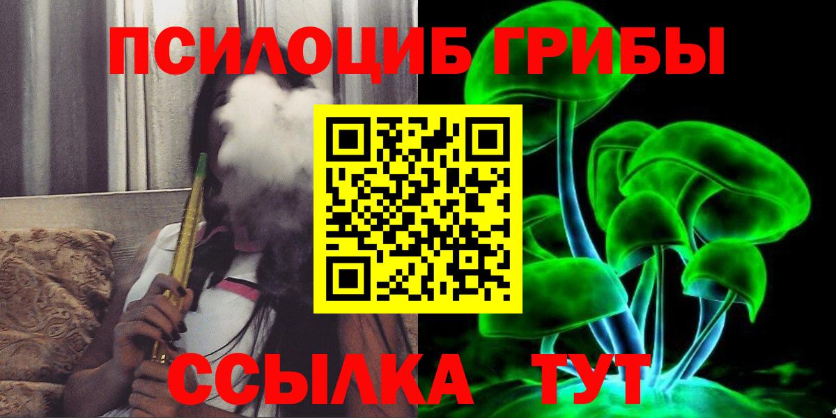 Галлюциногенные грибы Cubensis  Вход с VPN  Россия 
